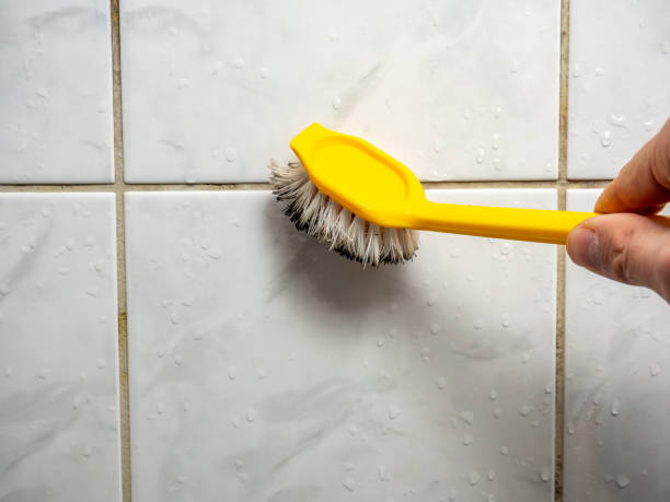 Best Health and Safety Mold Remediation in Bella Vista, AR