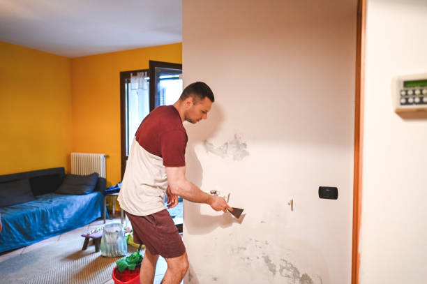 Best Bathroom Mold Remediation in Bella Vista, AR